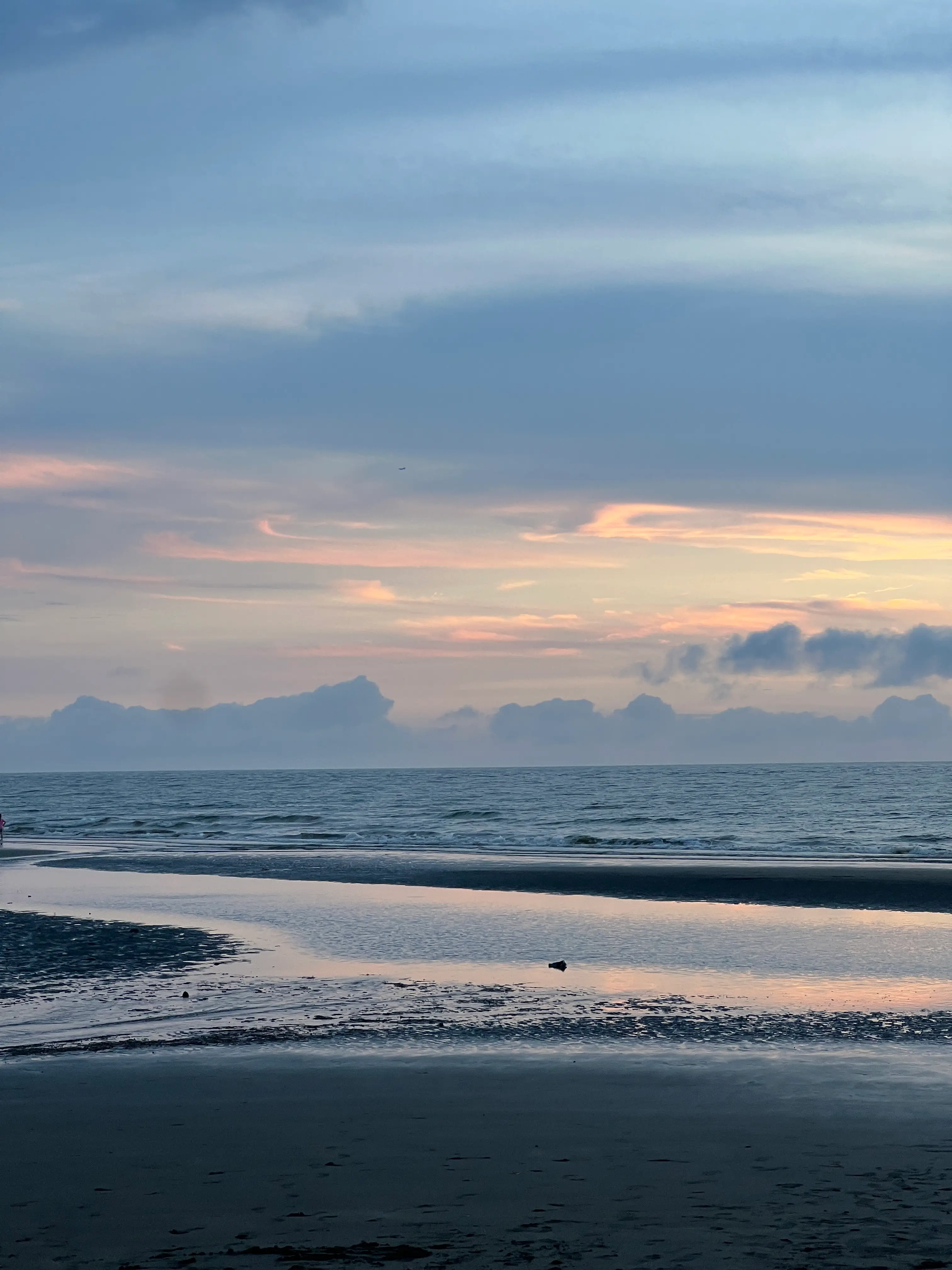 交大資甲碩一上 校園觀察與修課心得